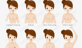 动漫乳头,动漫中的神秘符号与审美演变