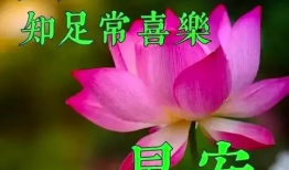 早上好视频,开启美好一天的心灵之旅